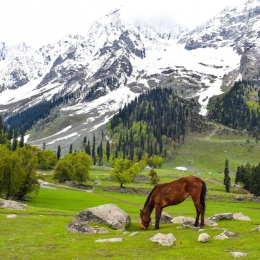 Explore Kashmir